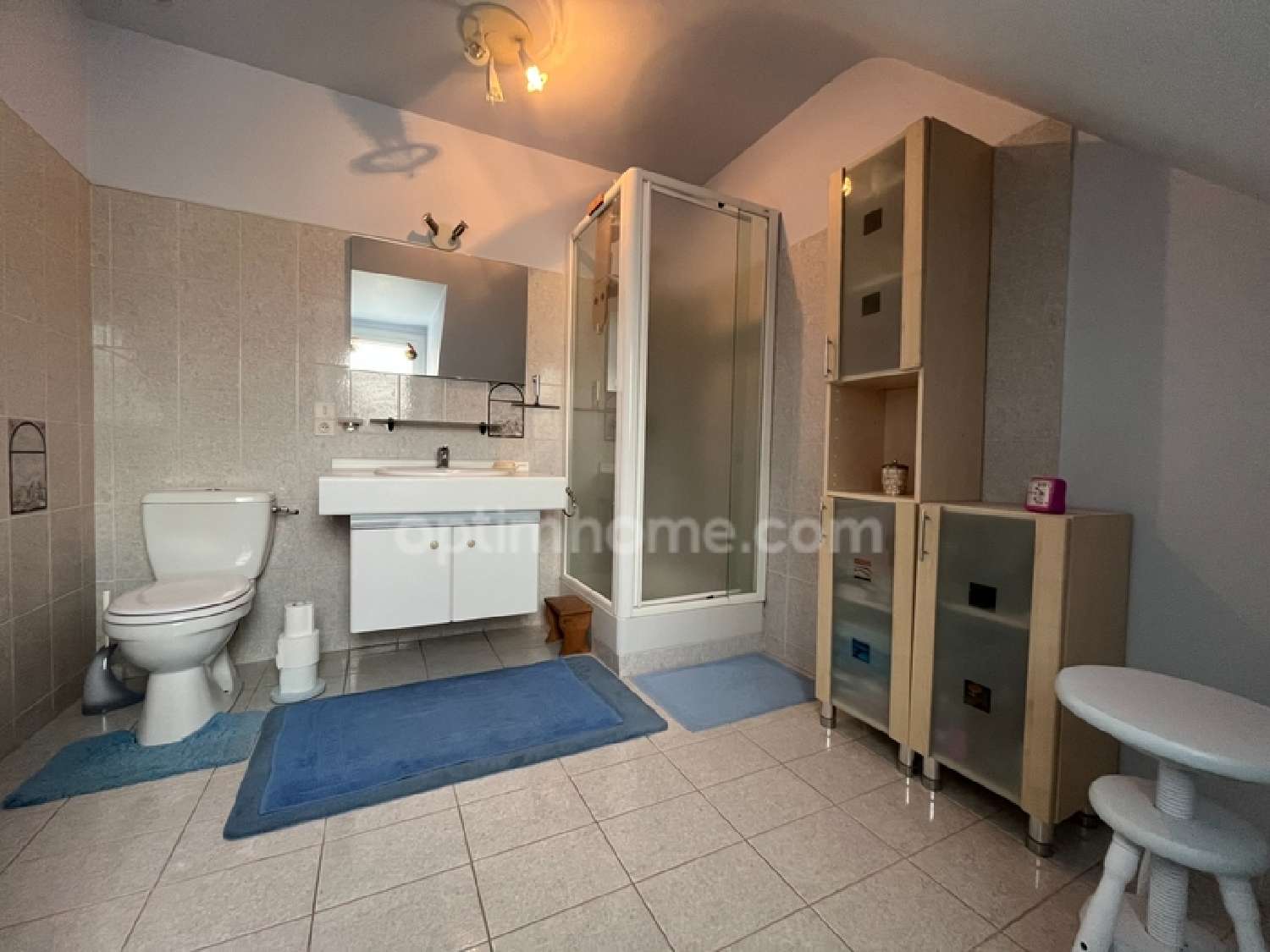 for sale house Perrusson Indre-et-Loire 8
