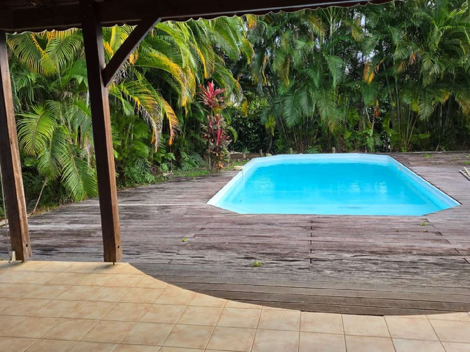  à vendre maison Petit-Bourg Guadeloupe 4