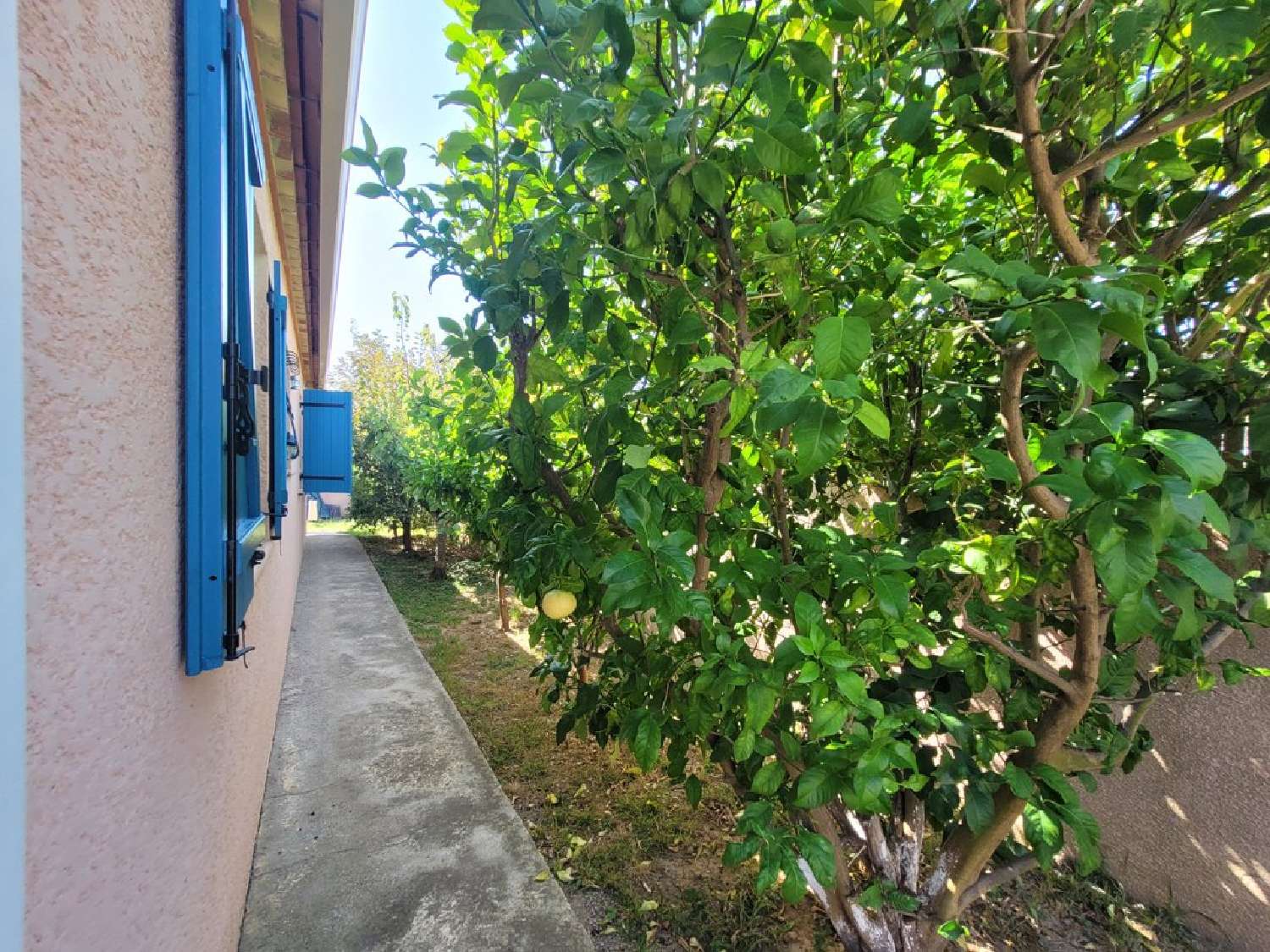  en venta casa Pézenas Hérault 5