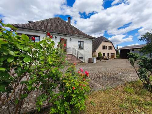Pfaffenheim Haut-Rhin Haus Bild 7343209