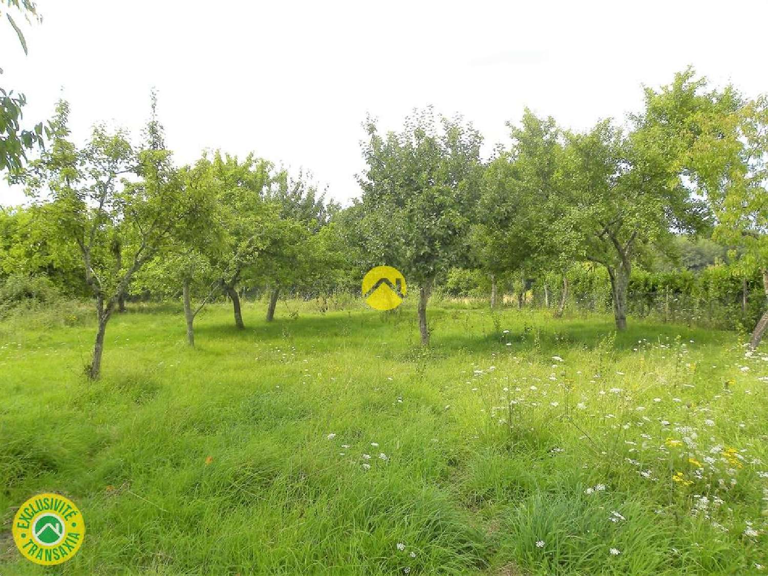  te koop huis Pierrefitte-ès-Bois Loiret 6