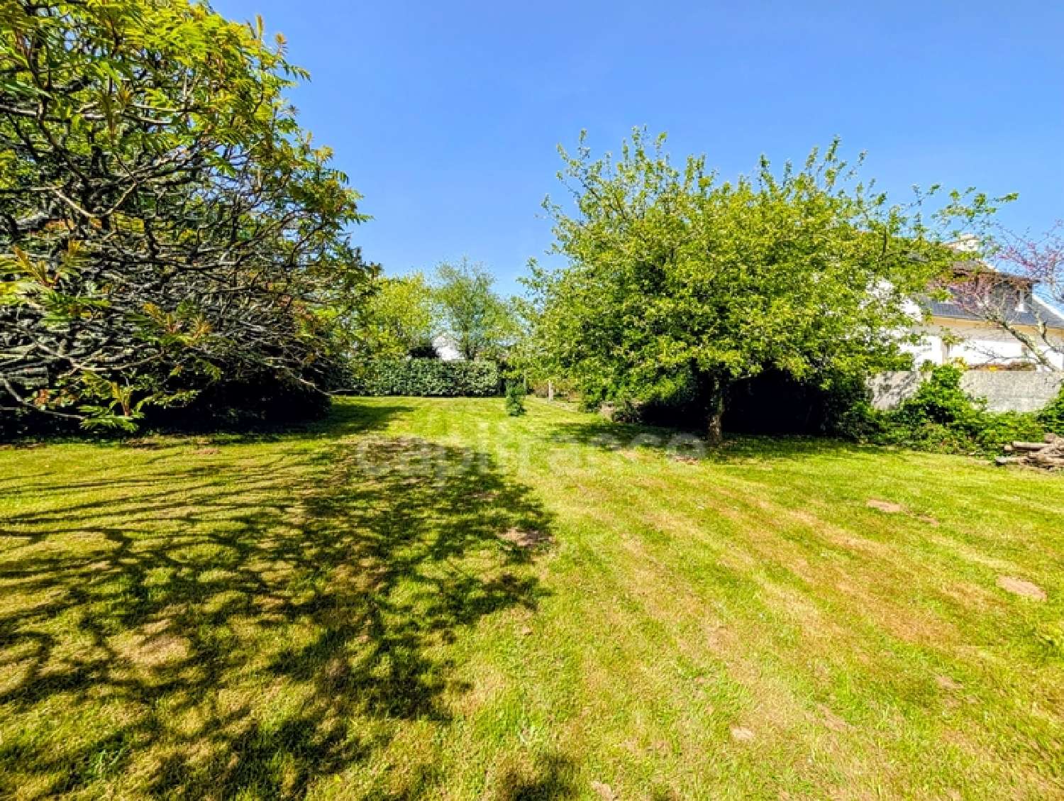  te koop huis Plougastel-Daoulas Finistère 1