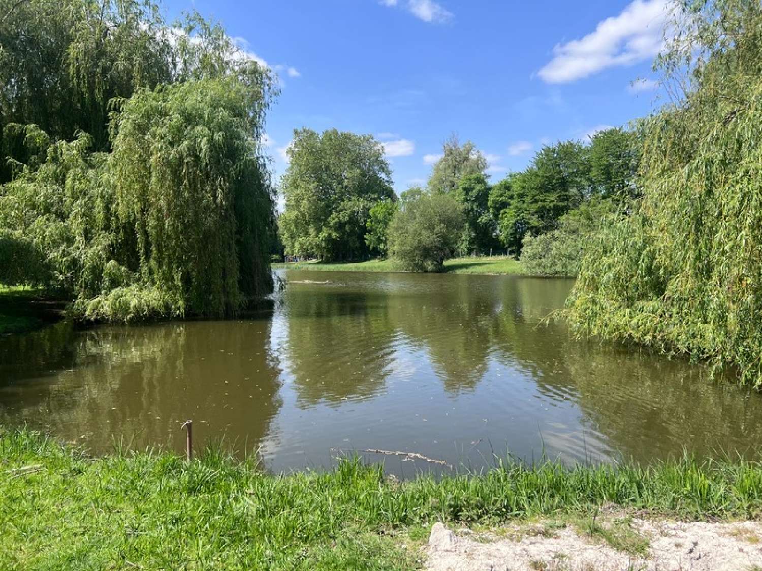  for sale house Pons Charente-Maritime 4