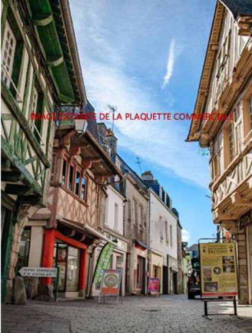 Pontivy Morbihan house foto 7330517
