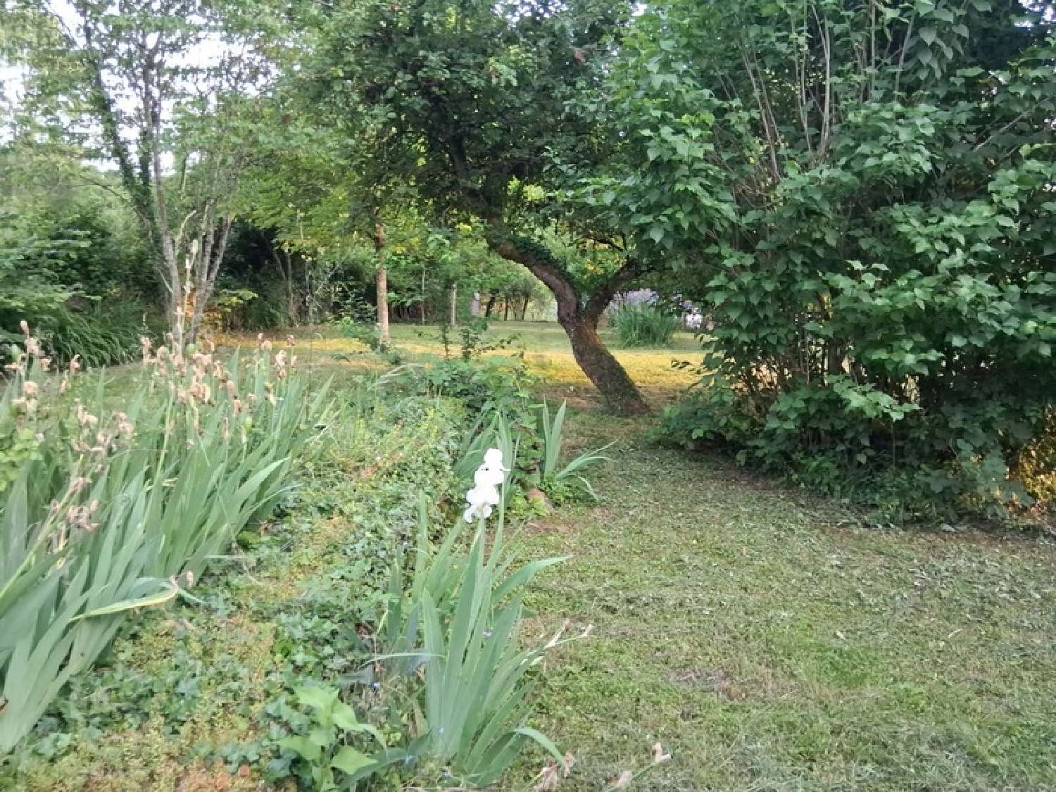  for sale house Pouilly-en-Auxois Côte-d'Or 6