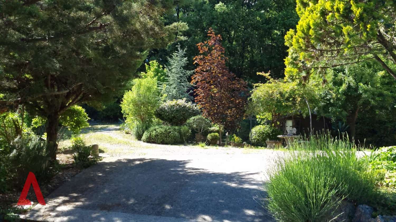  à vendre maison Poujols Hérault 3