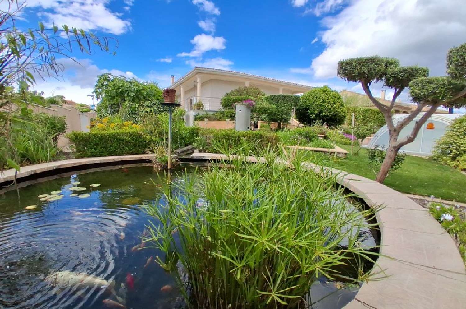  à vendre maison Puissalicon Hérault 8