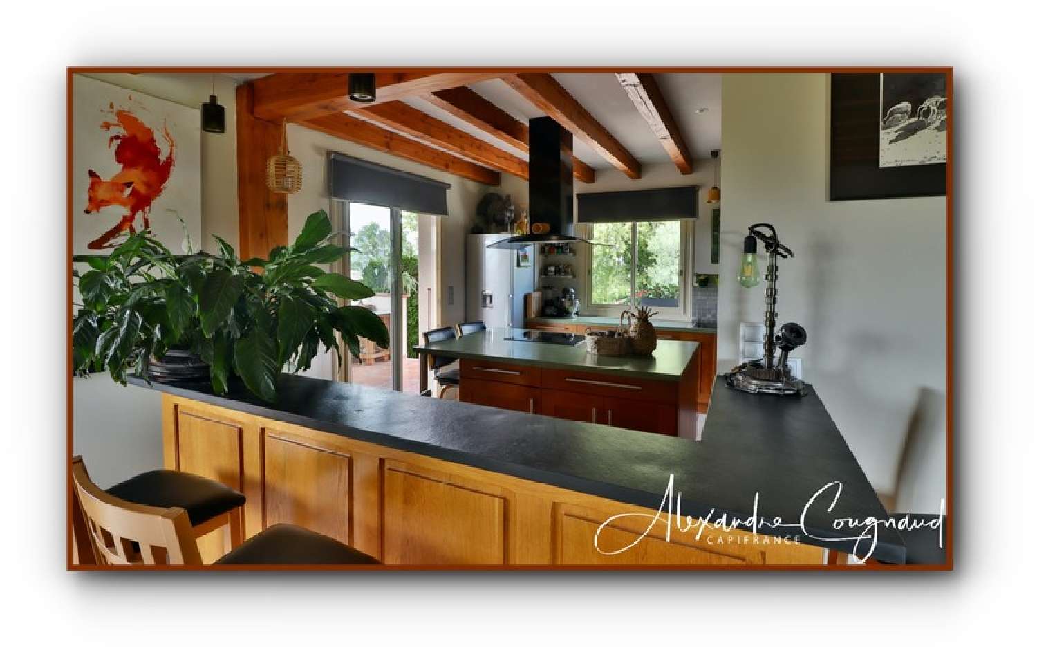  à vendre maison Puylaurens Tarn 4