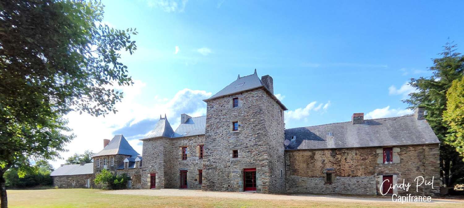 for sale house Quelneuc Morbihan 5