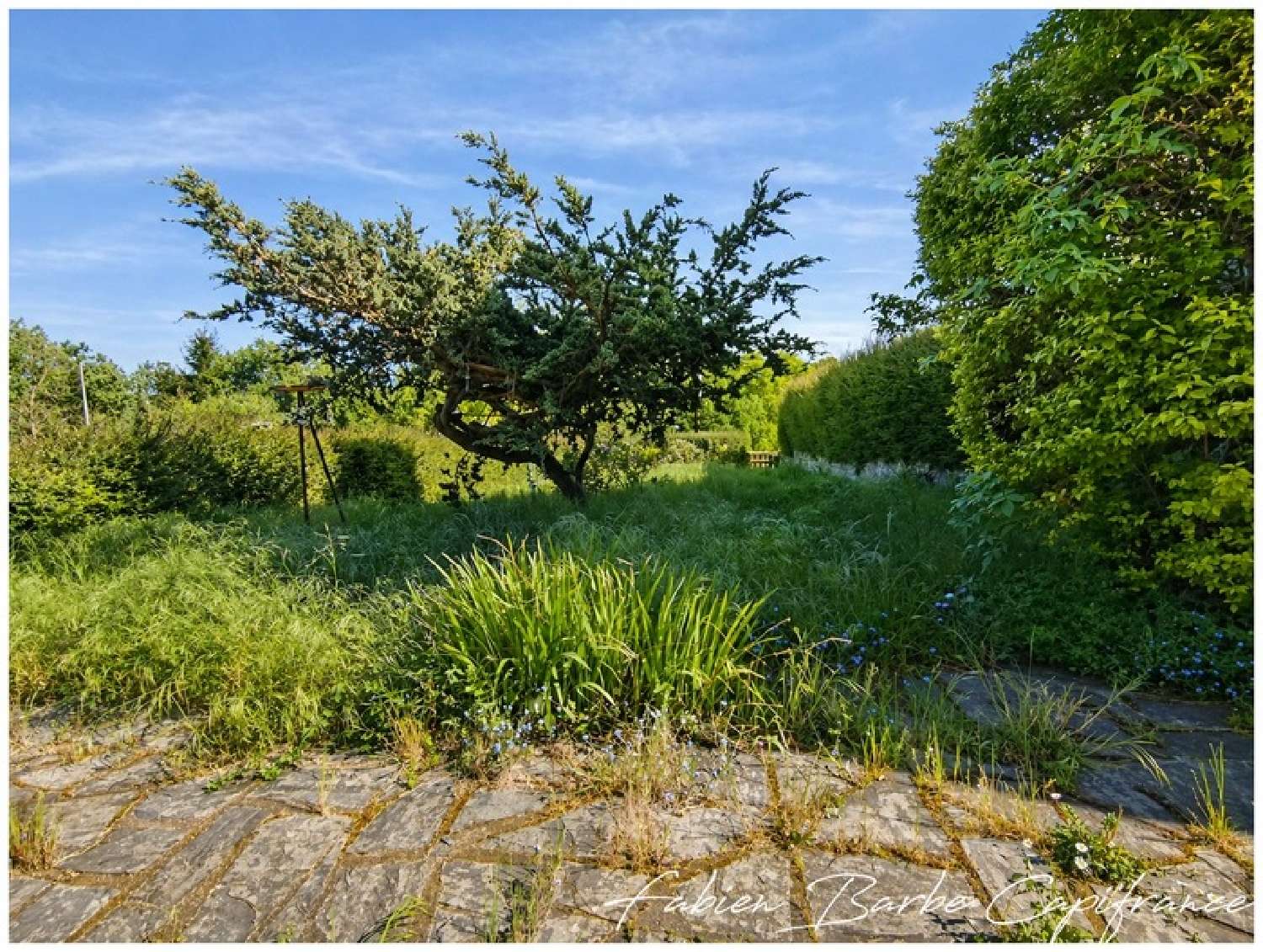  te koop huis Quily Morbihan 6