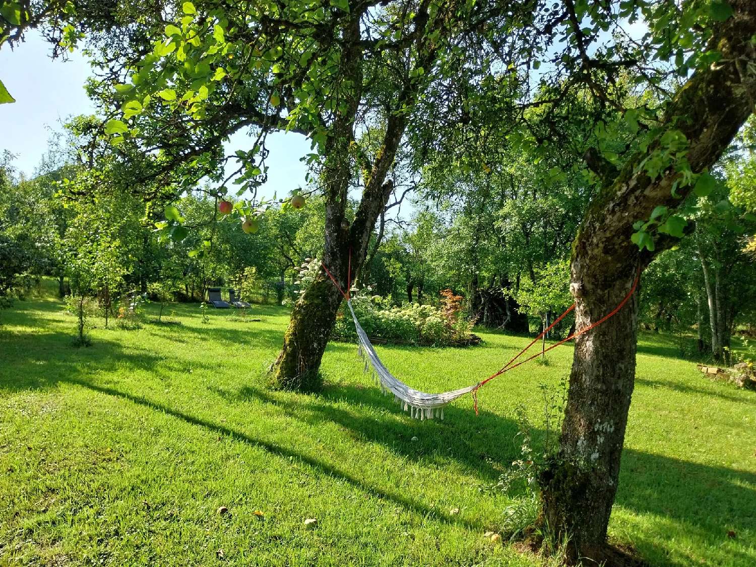  for sale house Regnévelle Vosges 6