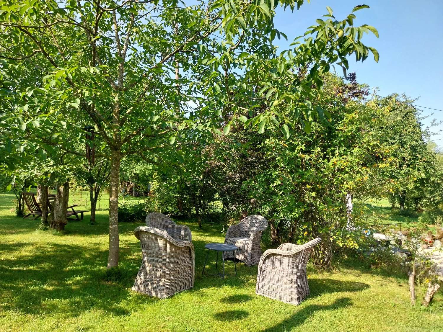  for sale house Regnévelle Vosges 7