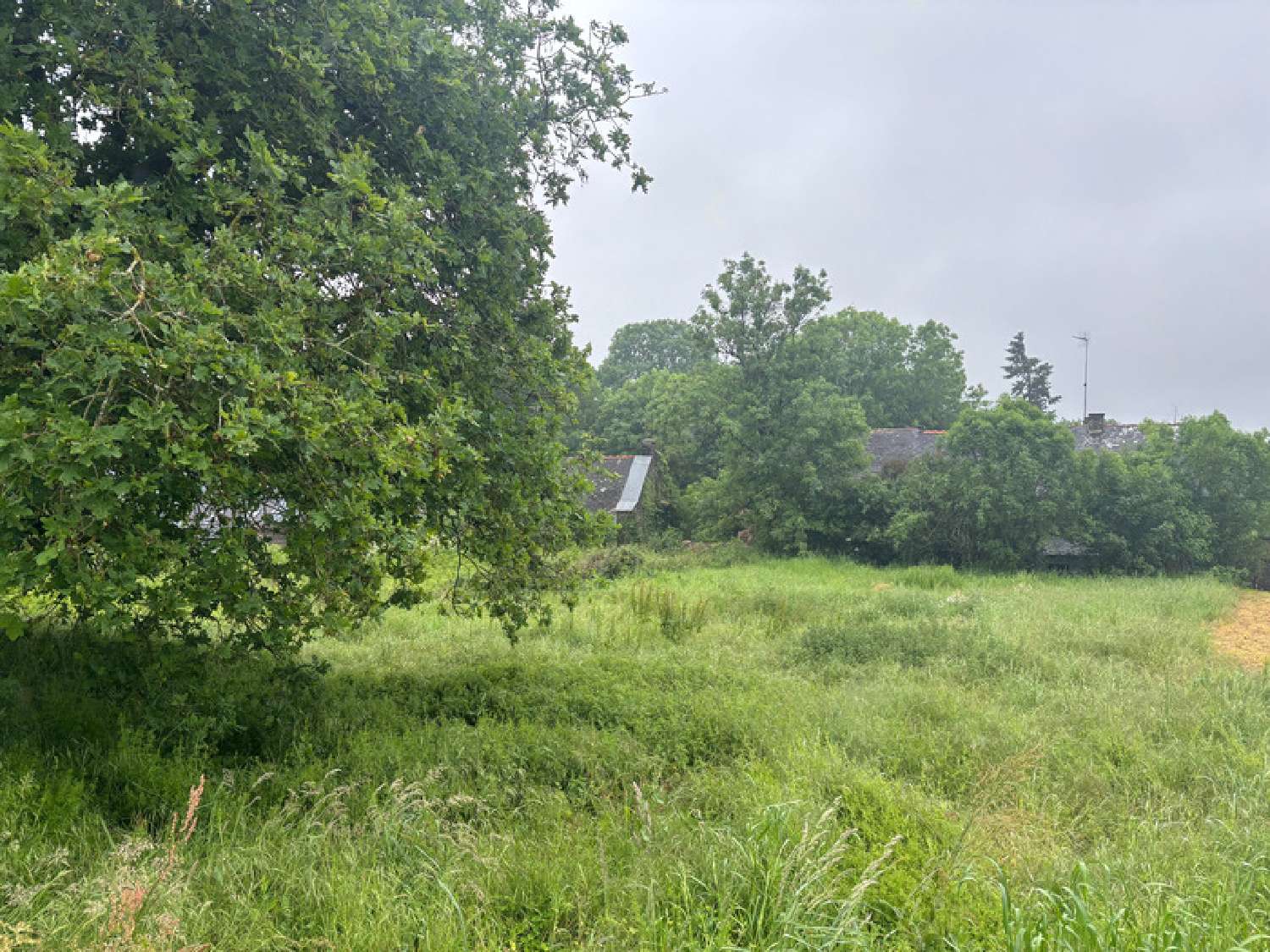 à vendre maison Renac Ille-et-Vilaine 2