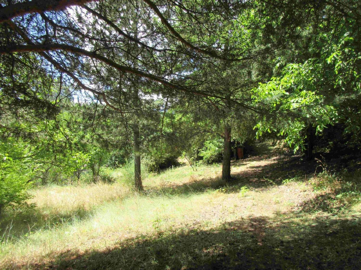  for sale house Réotier Hautes-Alpes 2