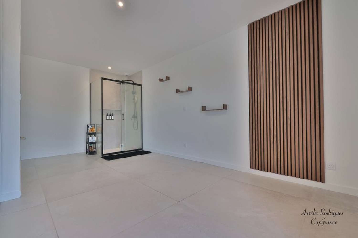 à vendre maison Replonges Ain 8
