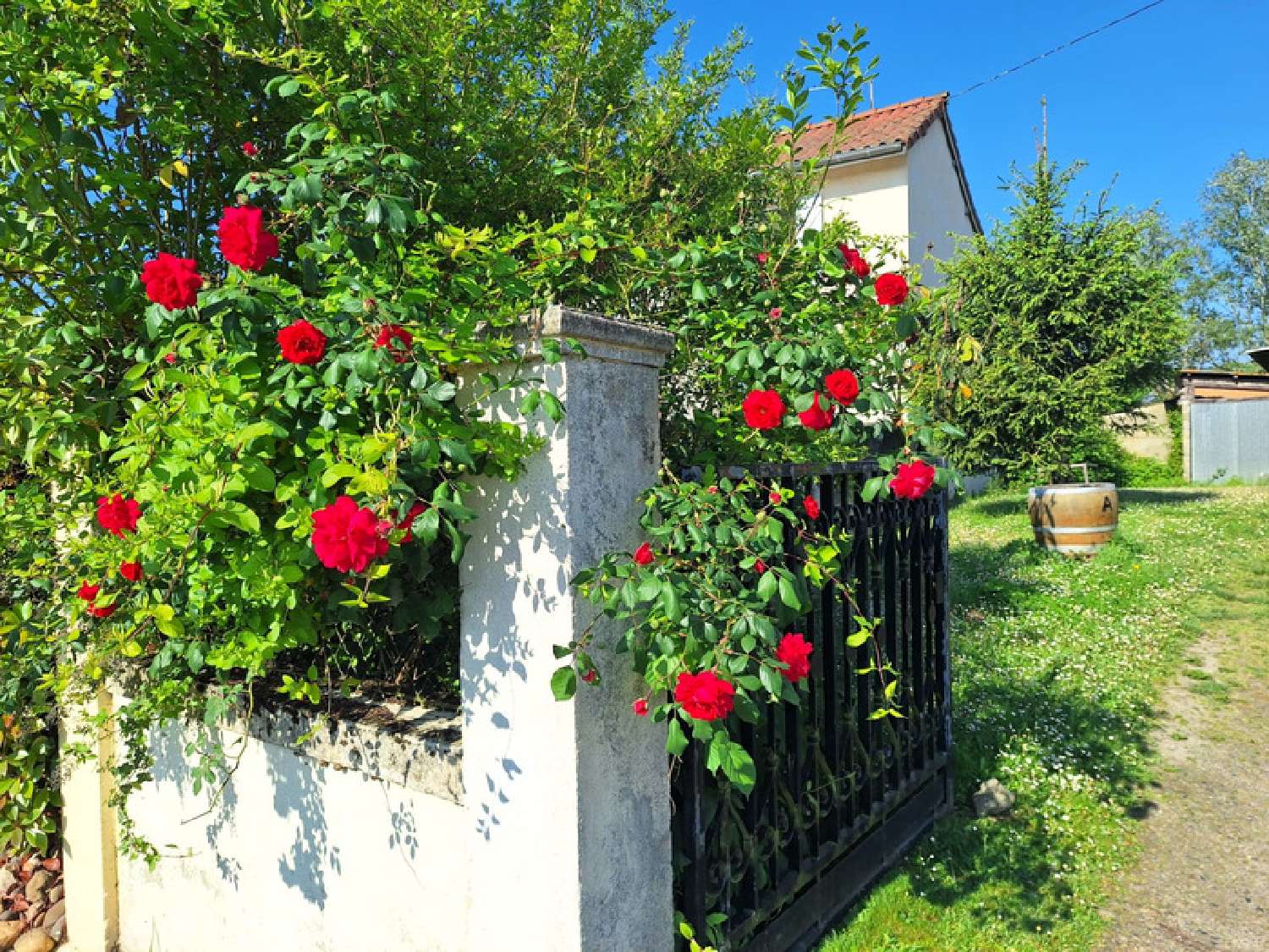 à vendre maison Riscle Gers 7