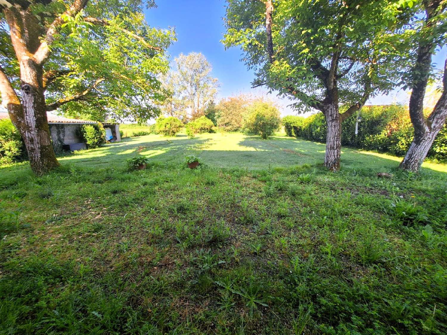 à vendre maison Riscle Gers 8