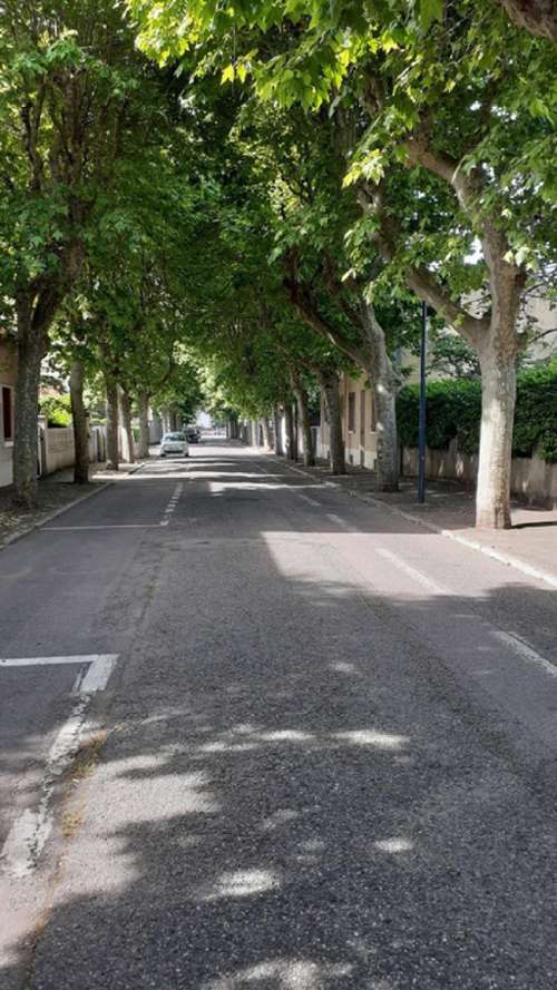 Romans-sur-Isère Drôme Haus Bild 7323029