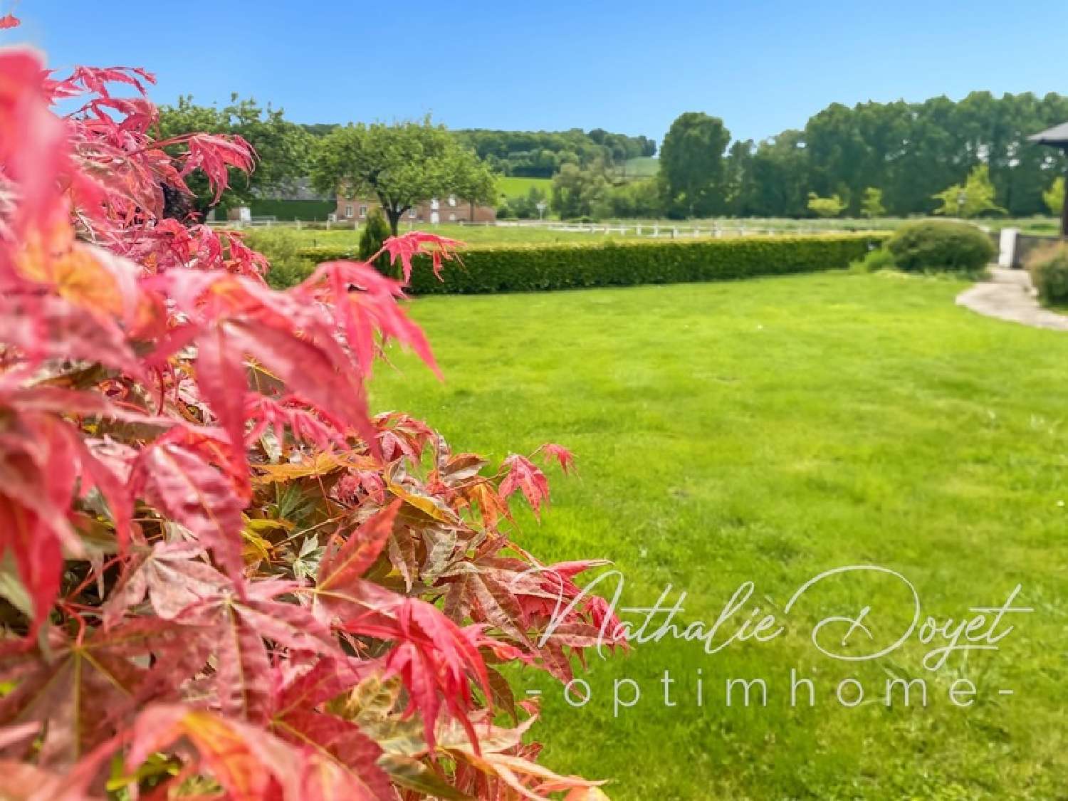 for sale house Rougeries Aisne 7