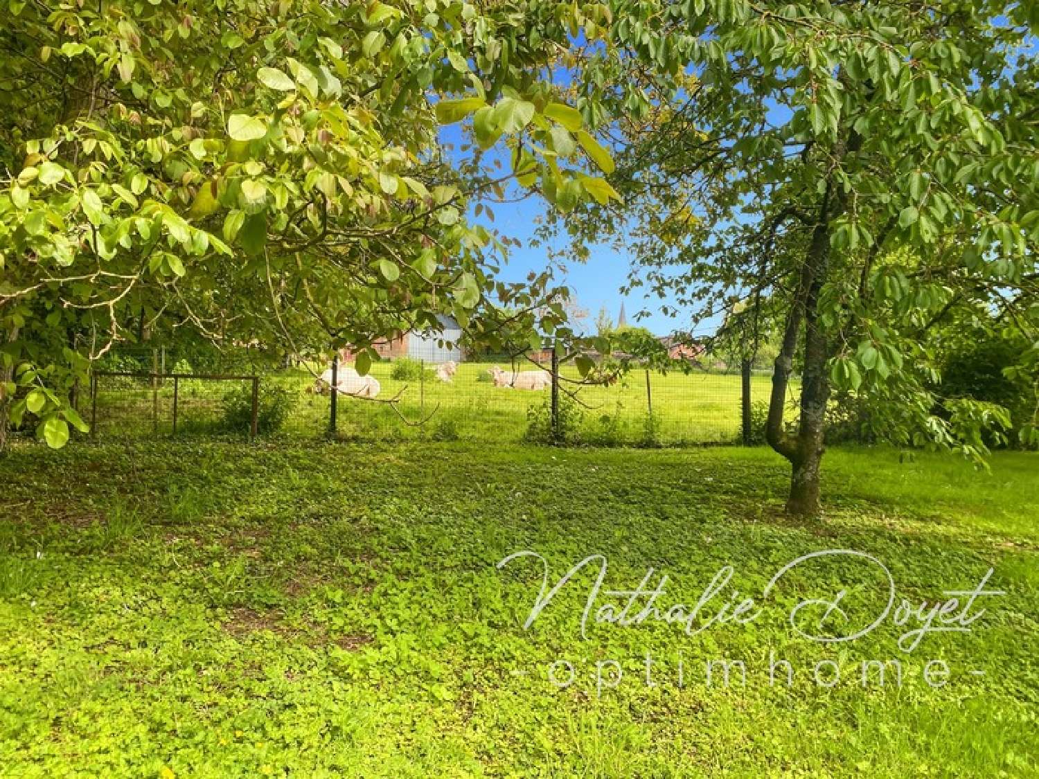 for sale house Rougeries Aisne 8