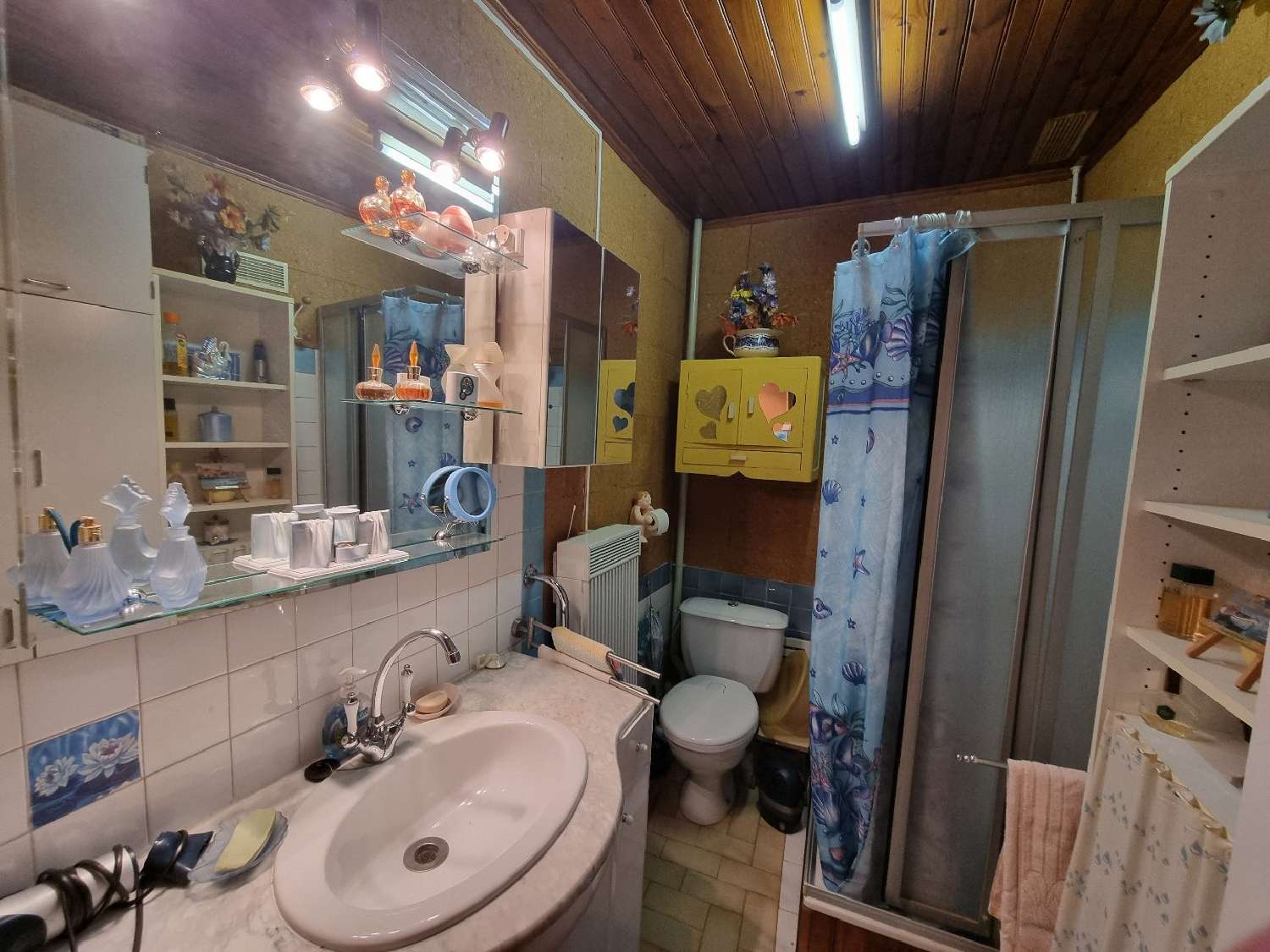 à vendre maison Roujan Hérault 8