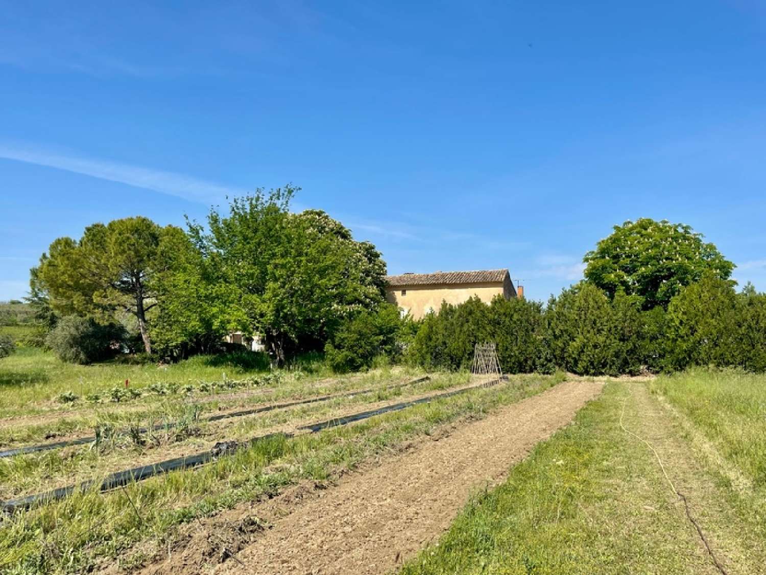  à vendre maison Roussillon Vaucluse 6