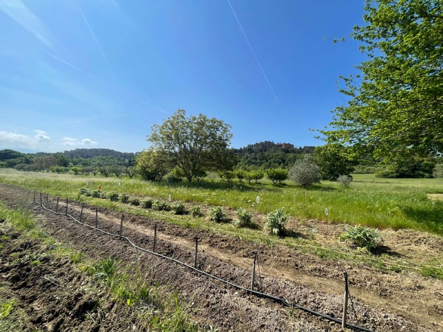  à vendre maison Roussillon Vaucluse 7
