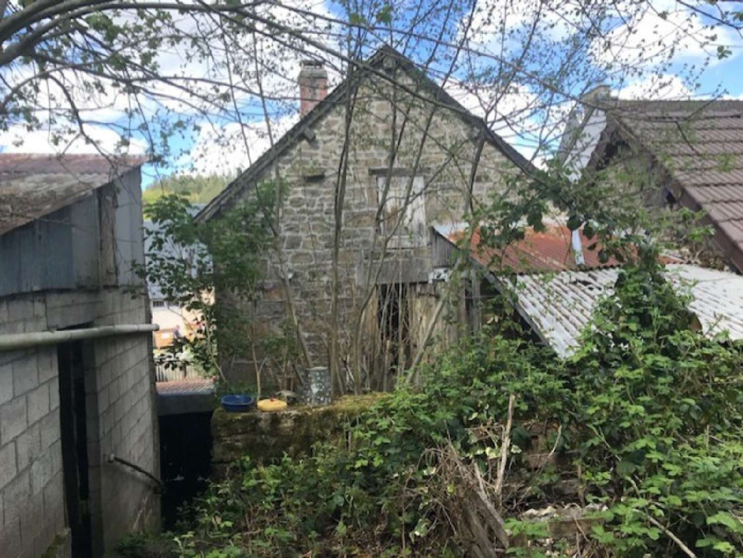  en venta casa Royère-De-Vassivière Creuse 8