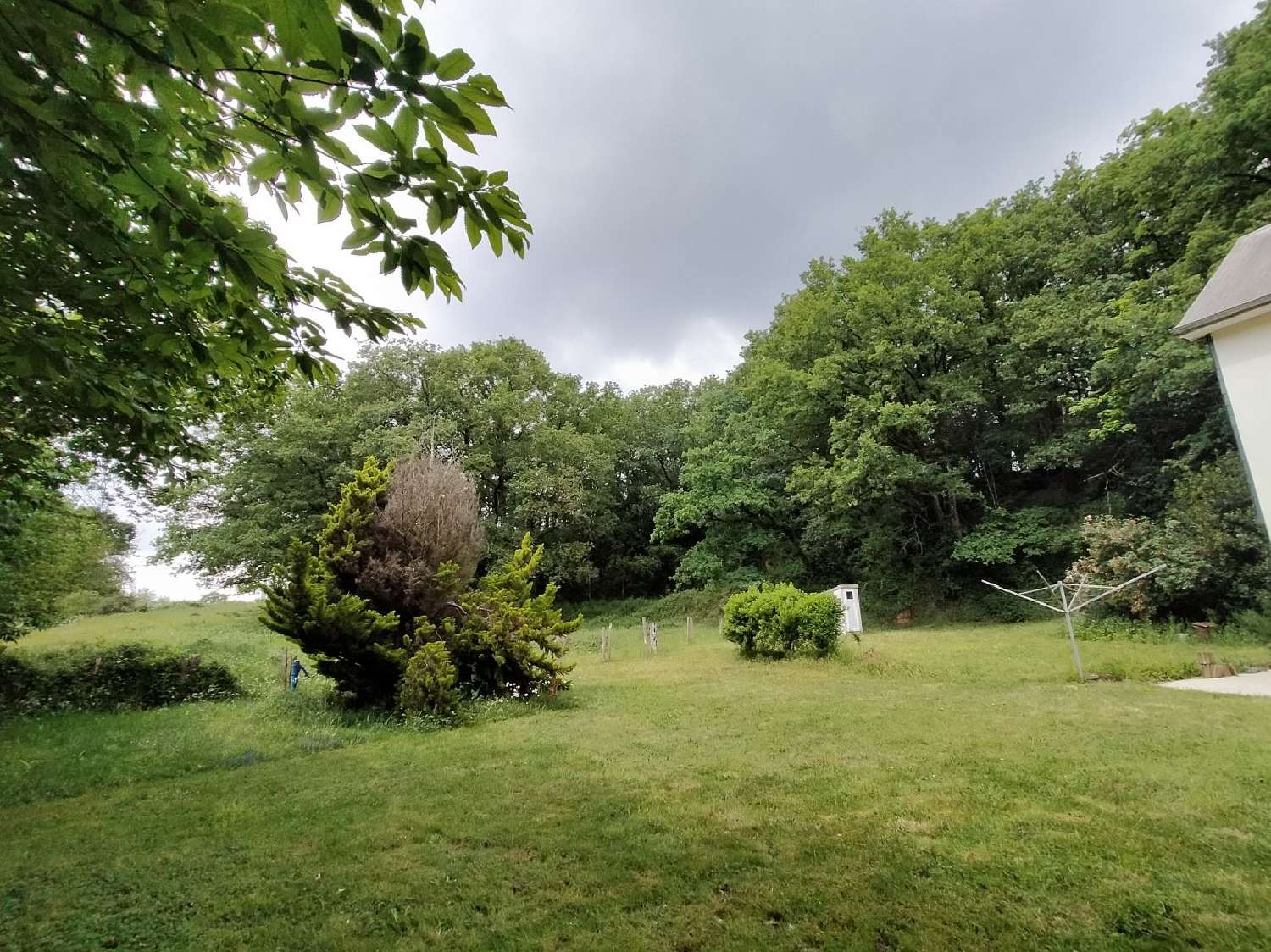  for sale house Saint-Aubin-du-Désert Mayenne 4