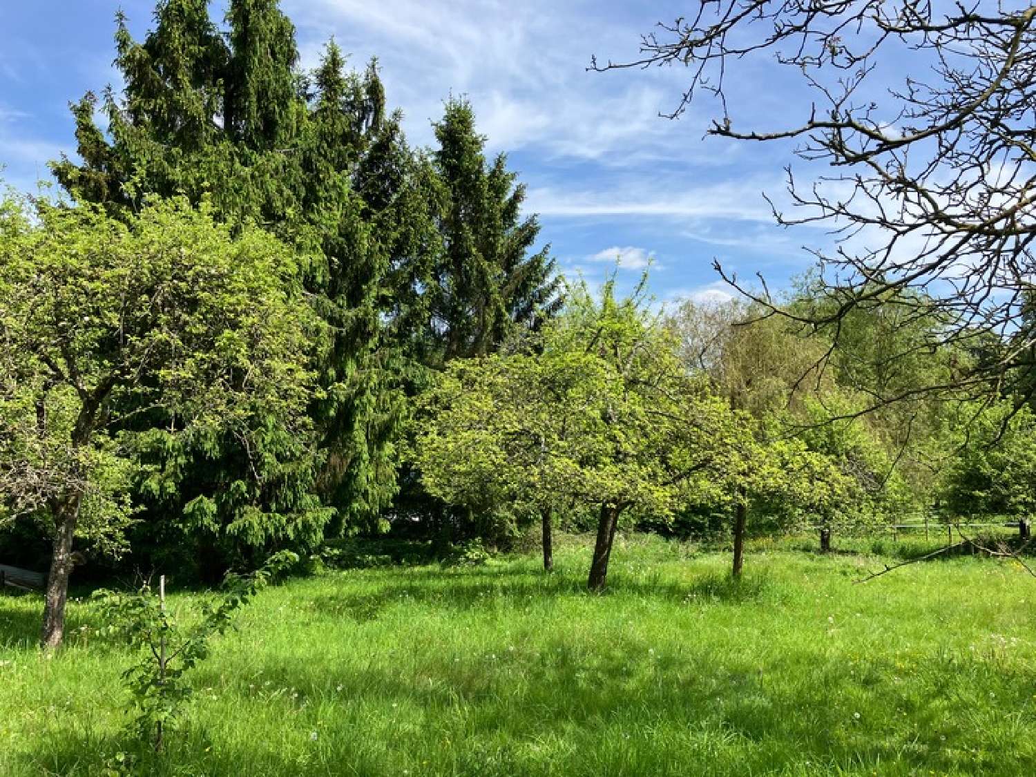 for sale house Saint-Aubin-Epinay Seine-Maritime 3