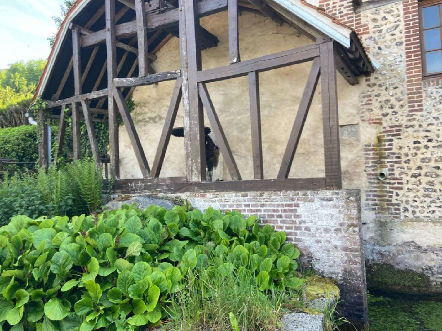  for sale house Saint-Aubin-Epinay Seine-Maritime 6