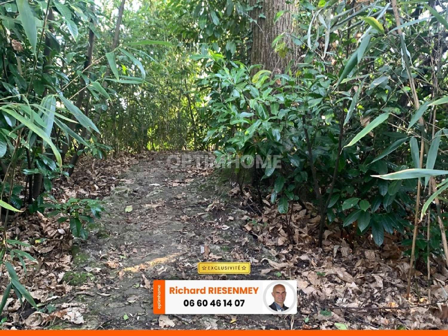  en venta casa Saint-Chéron Essonne 6