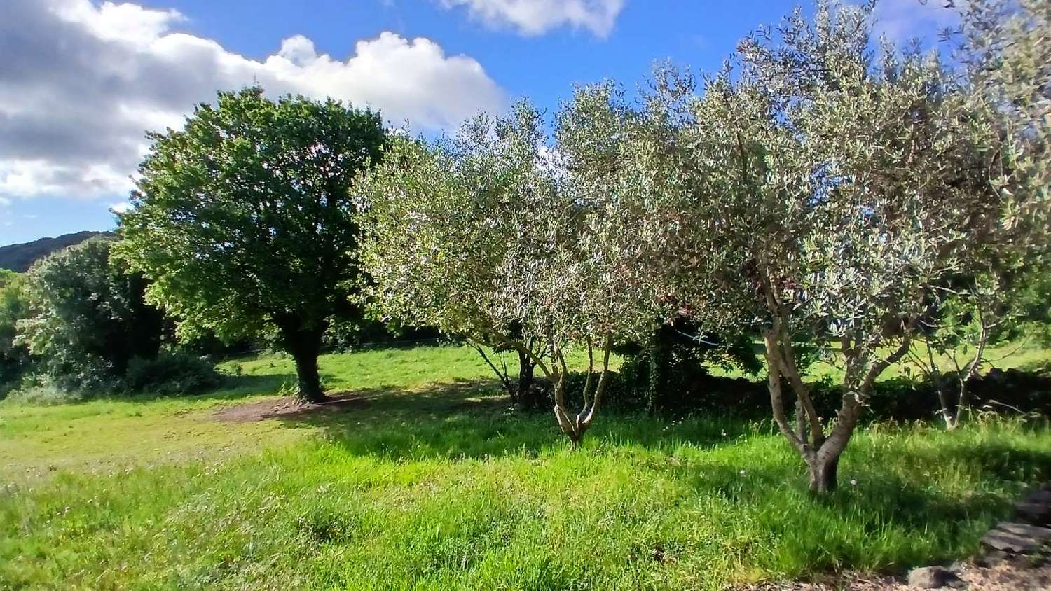 te koop huis Saint-Chinian Hérault 7