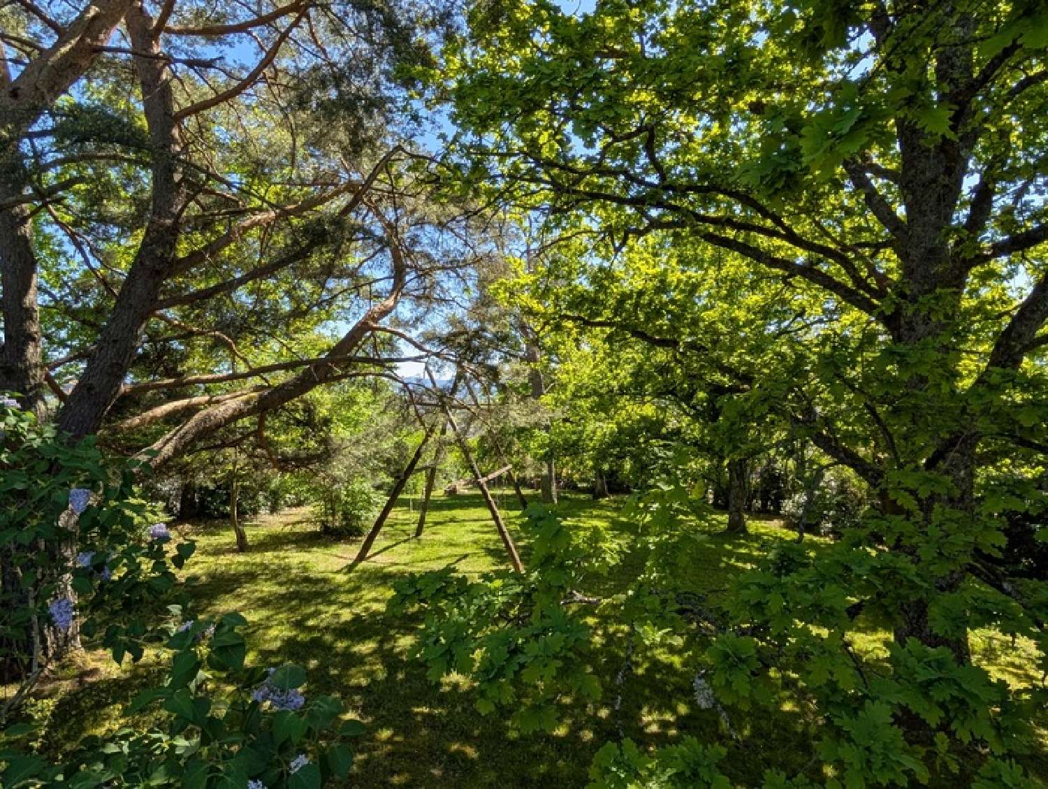  for sale house Saint-Dié Vosges 4