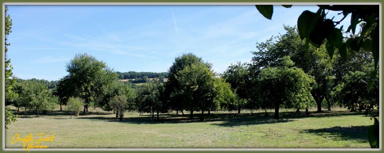  en venta casa Saint-Eutrope Charente 7