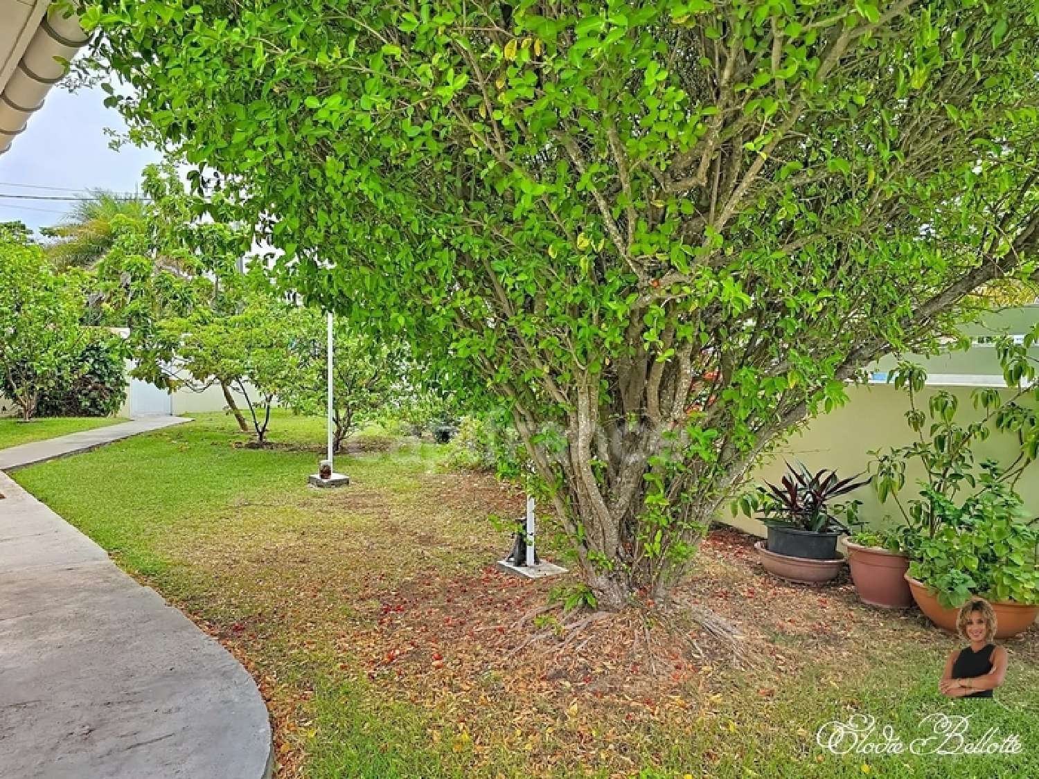 à vendre maison Saint-François Guadeloupe 4