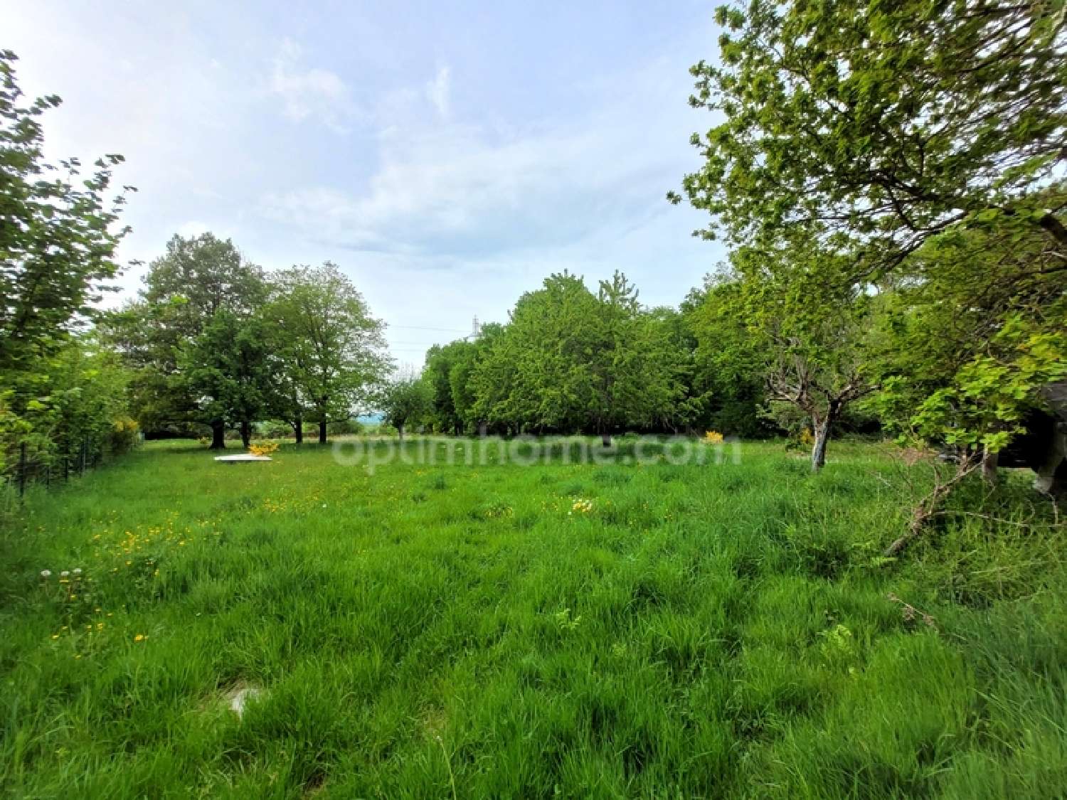  te koop huis Saint-Georges-de-Mons Puy-de-Dôme 1
