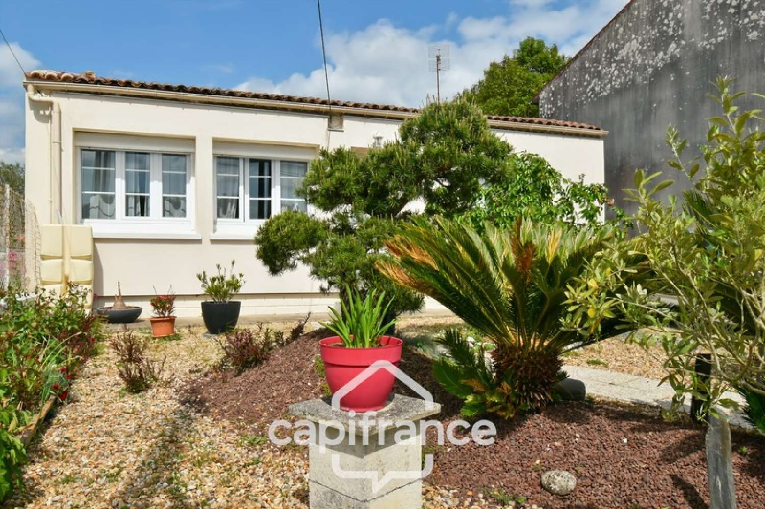 à vendre maison Saint-Jean-d'Angély Charente-Maritime 1