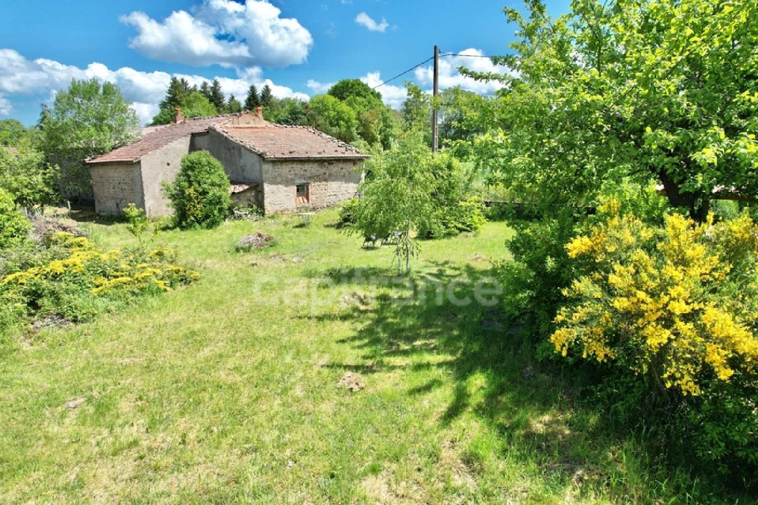  for sale house Saint-Jean-la-Vêtre Loire 2