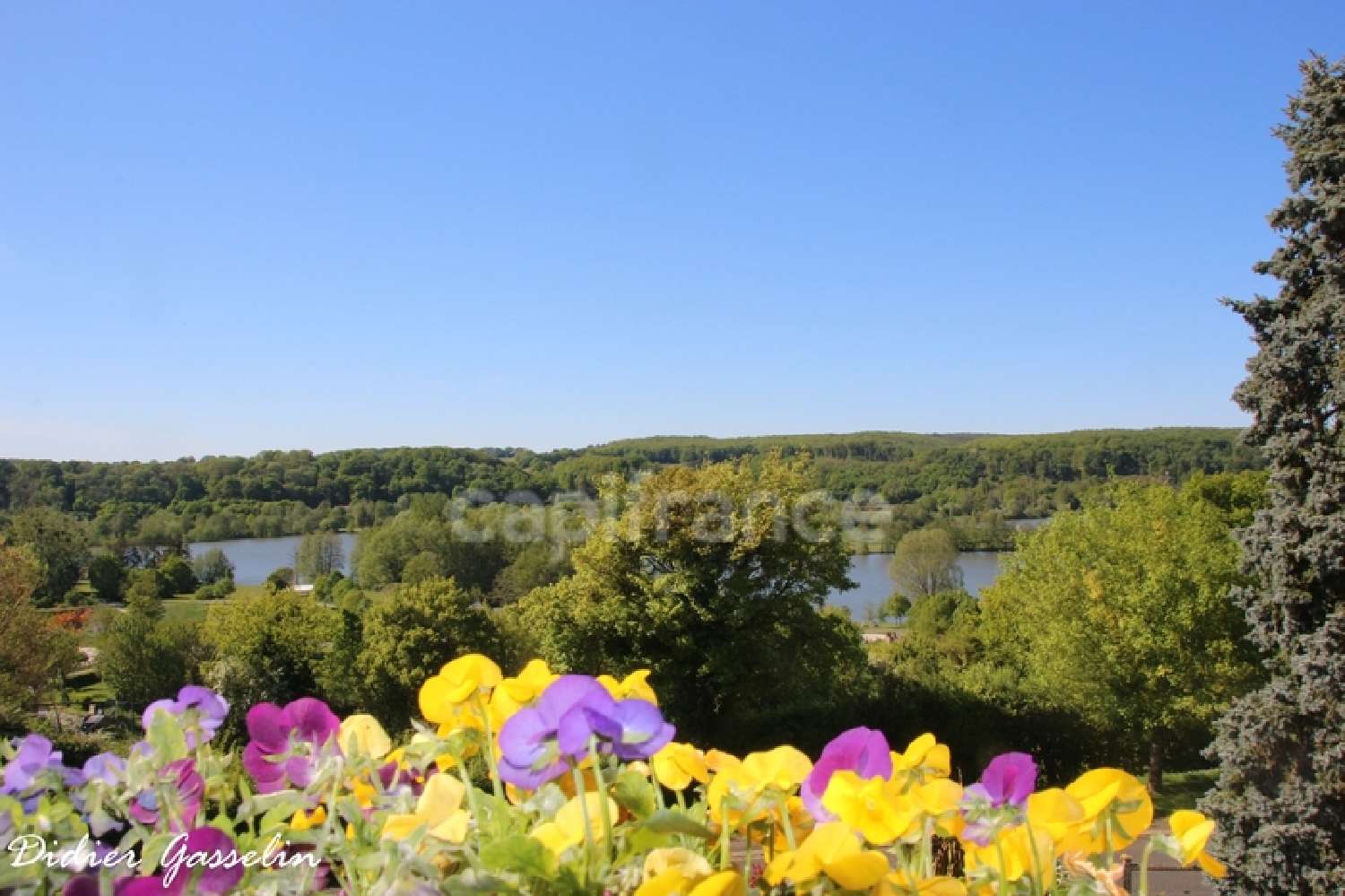  for sale house Saint-Jean-Pierre-Fixte Eure-et-Loir 2
