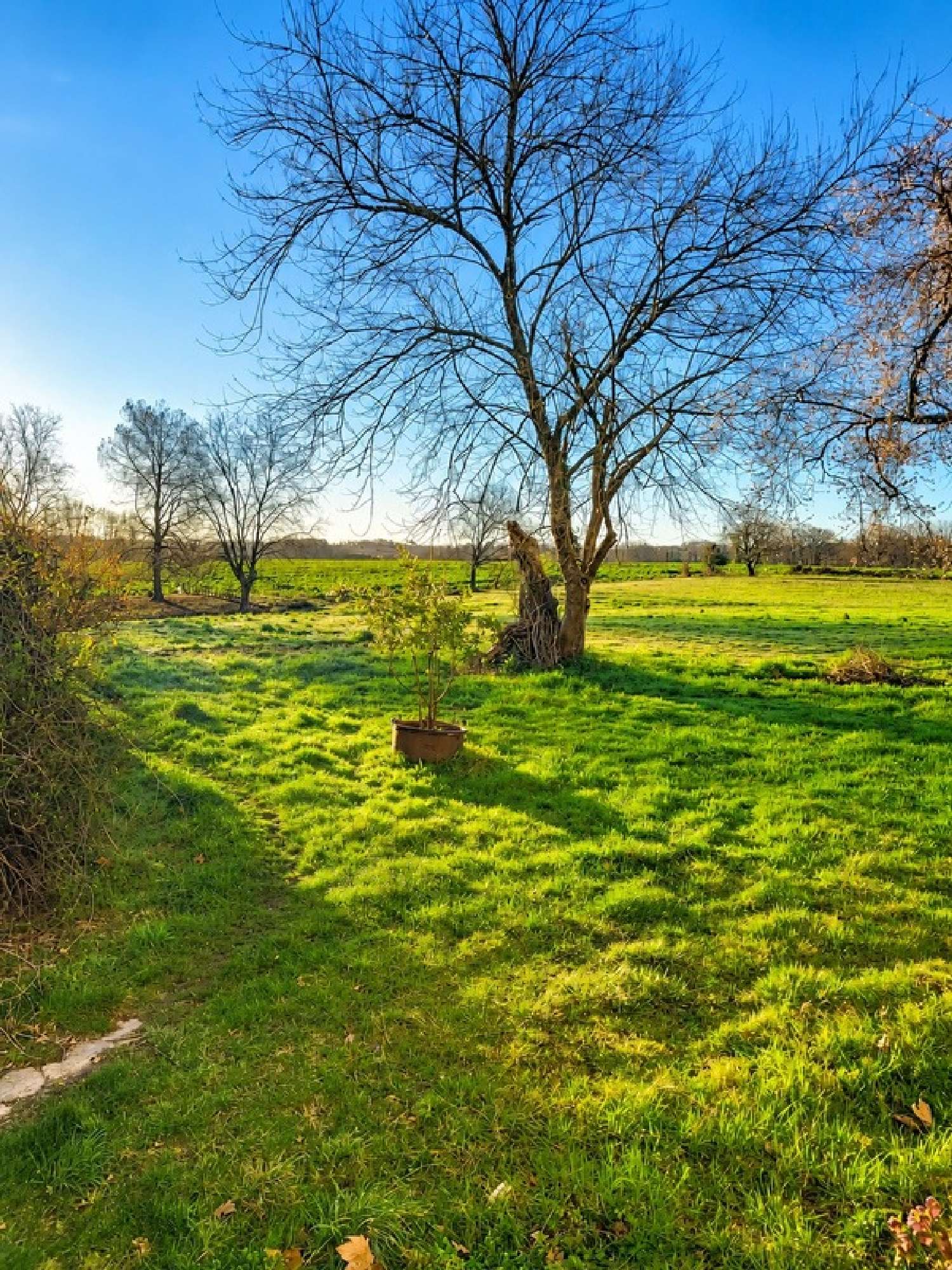 kaufen Haus Saint-Lon-les-Mines Landes 6