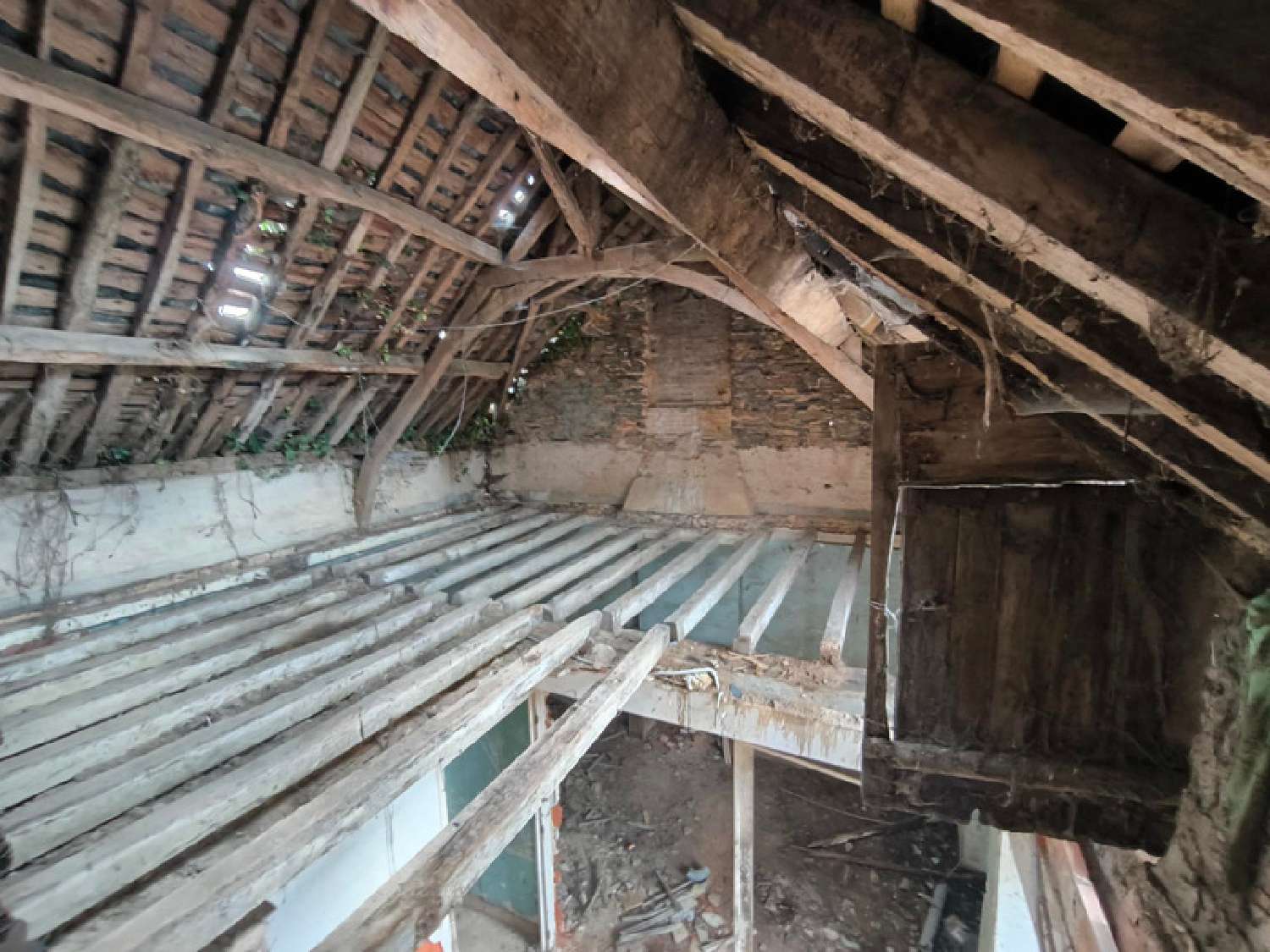 à vendre maison Saint-Mars-la-Jaille Loire-Atlantique 2