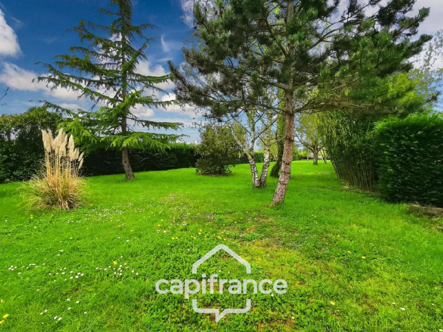  à vendre maison Saint-Martin-en-Bresse Saône-et-Loire 4