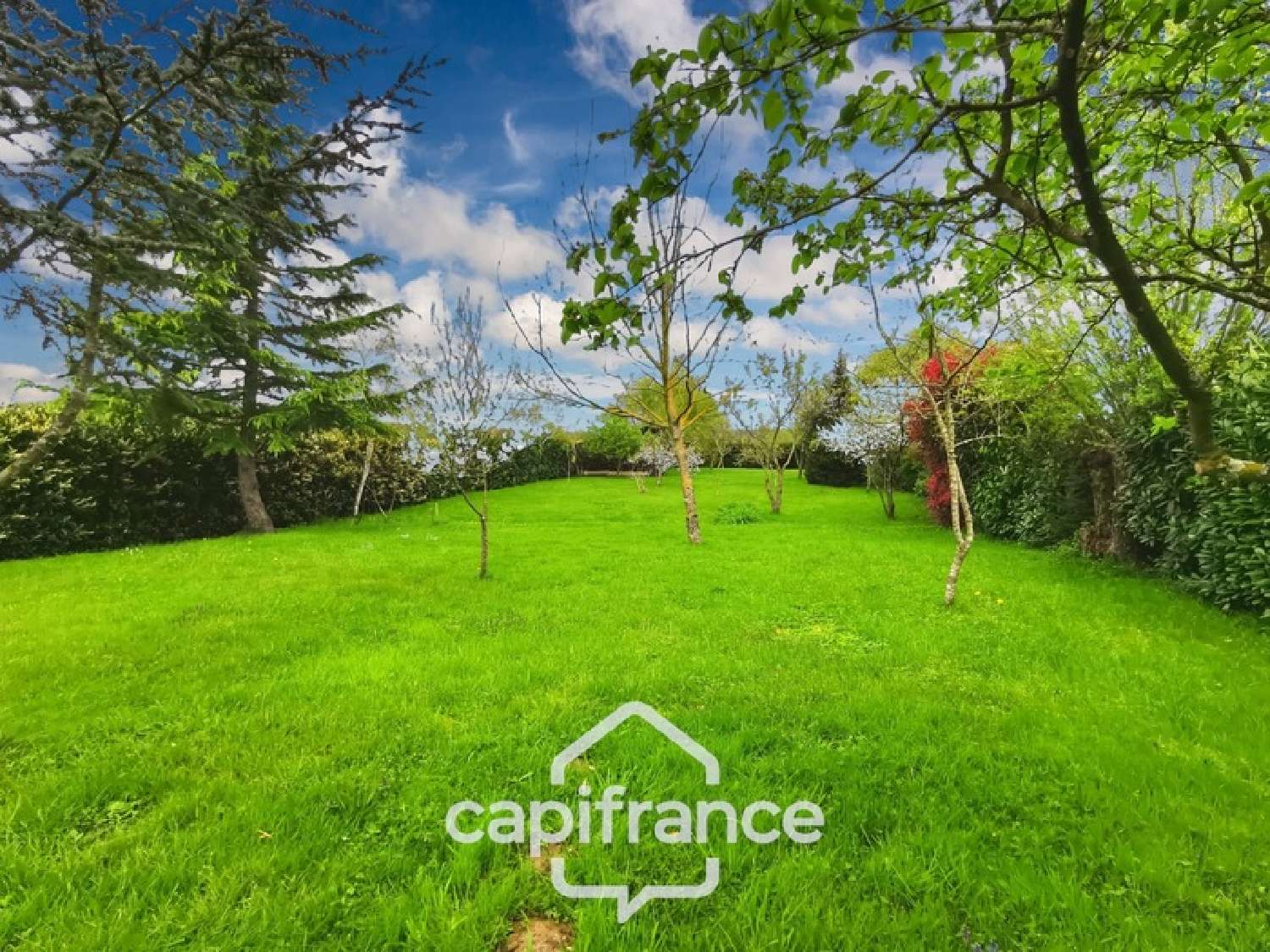  à vendre maison Saint-Martin-en-Bresse Saône-et-Loire 5