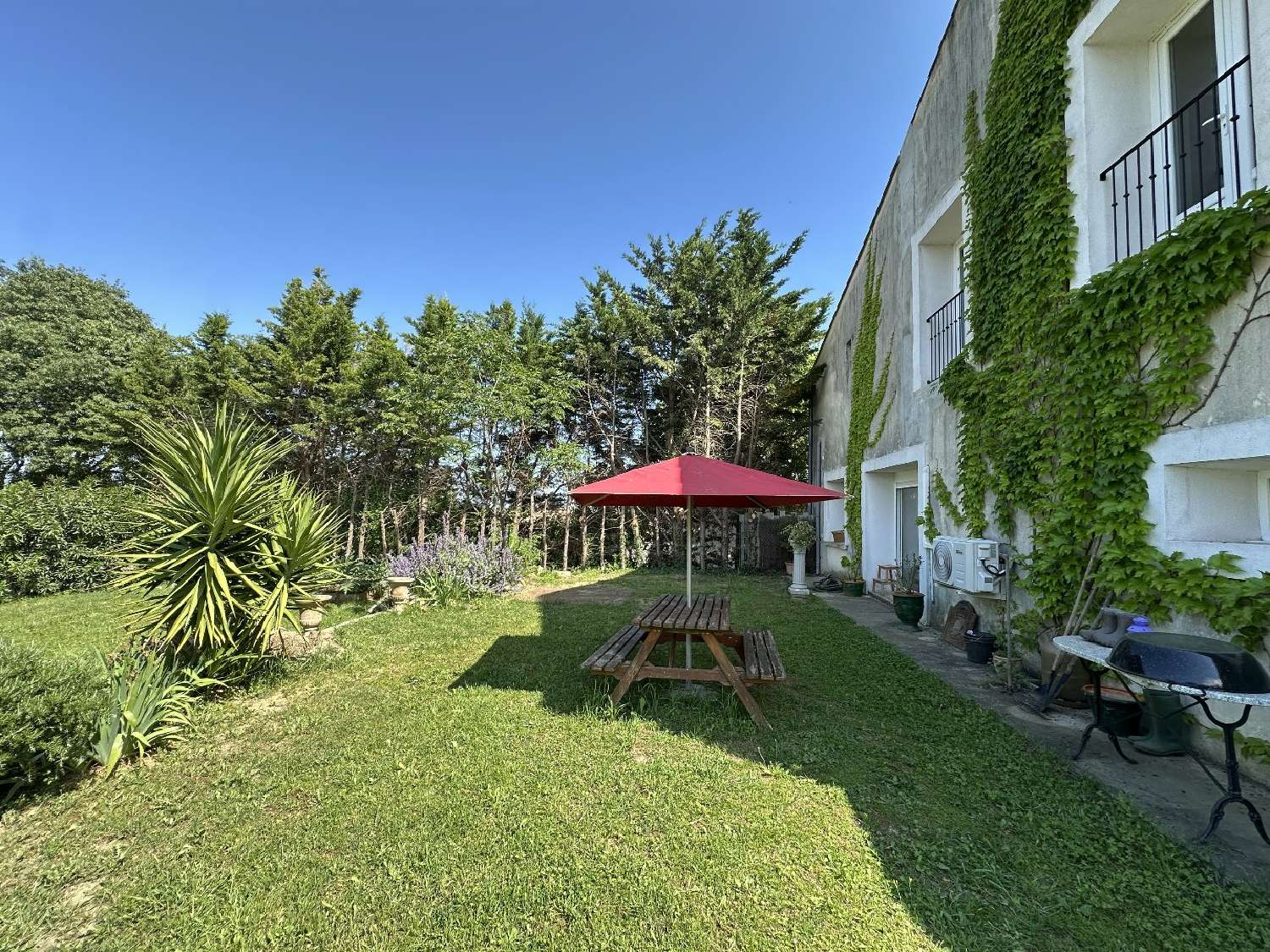 te koop huis Saint-Nazaire-de-Ladarez Hérault 2