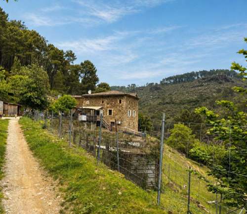 Saint-Paul-la-Coste Gard maison foto 7333248