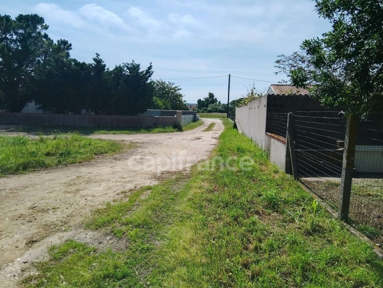  à vendre maison Saint-Pierre-d'Oléron Charente-Maritime 6