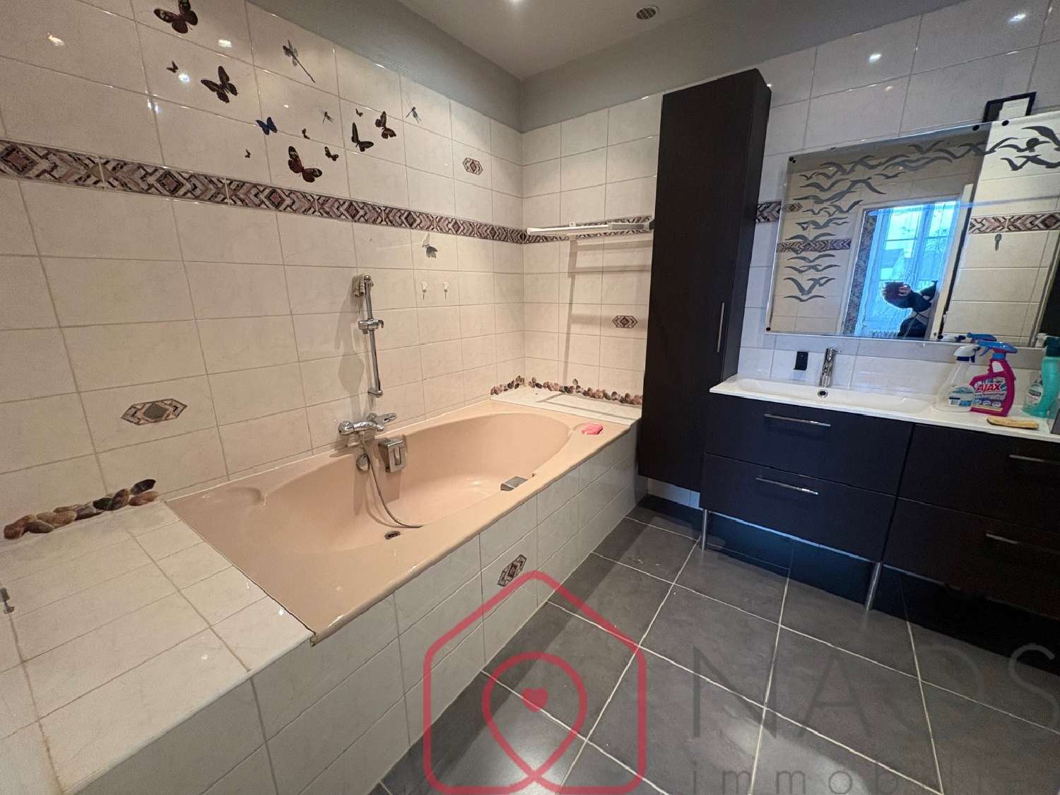  à vendre maison Saint-Pierre-lès-Nemours Seine-et-Marne 6