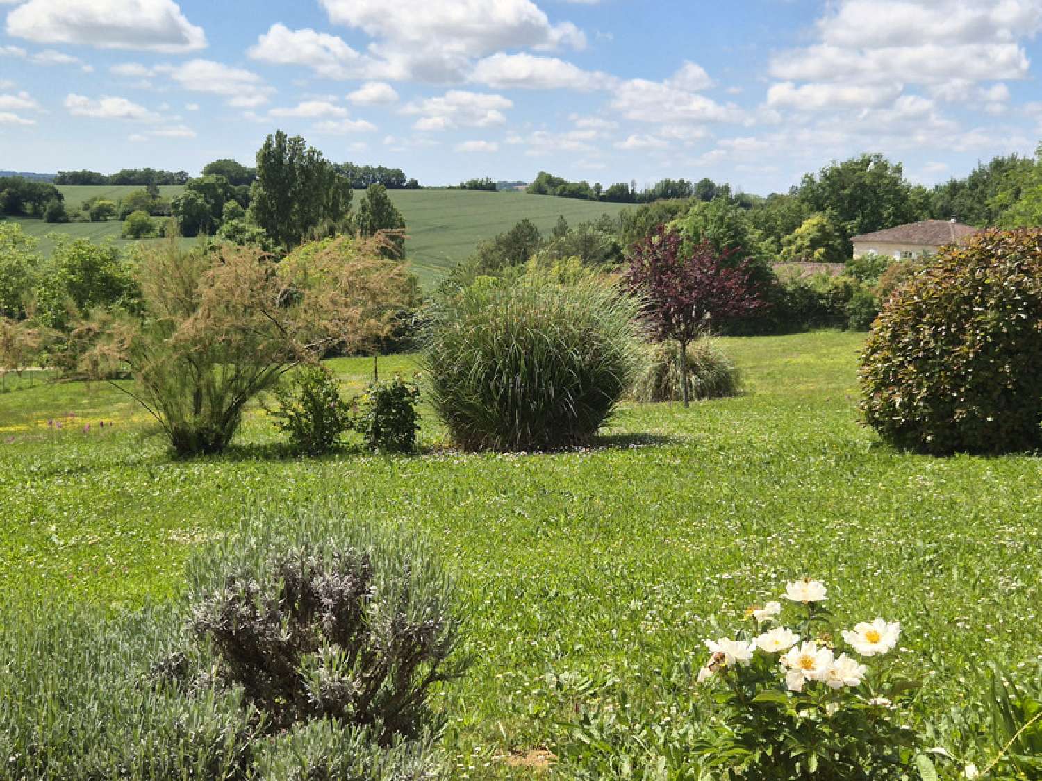  for sale house Saint-Puy Gers 6