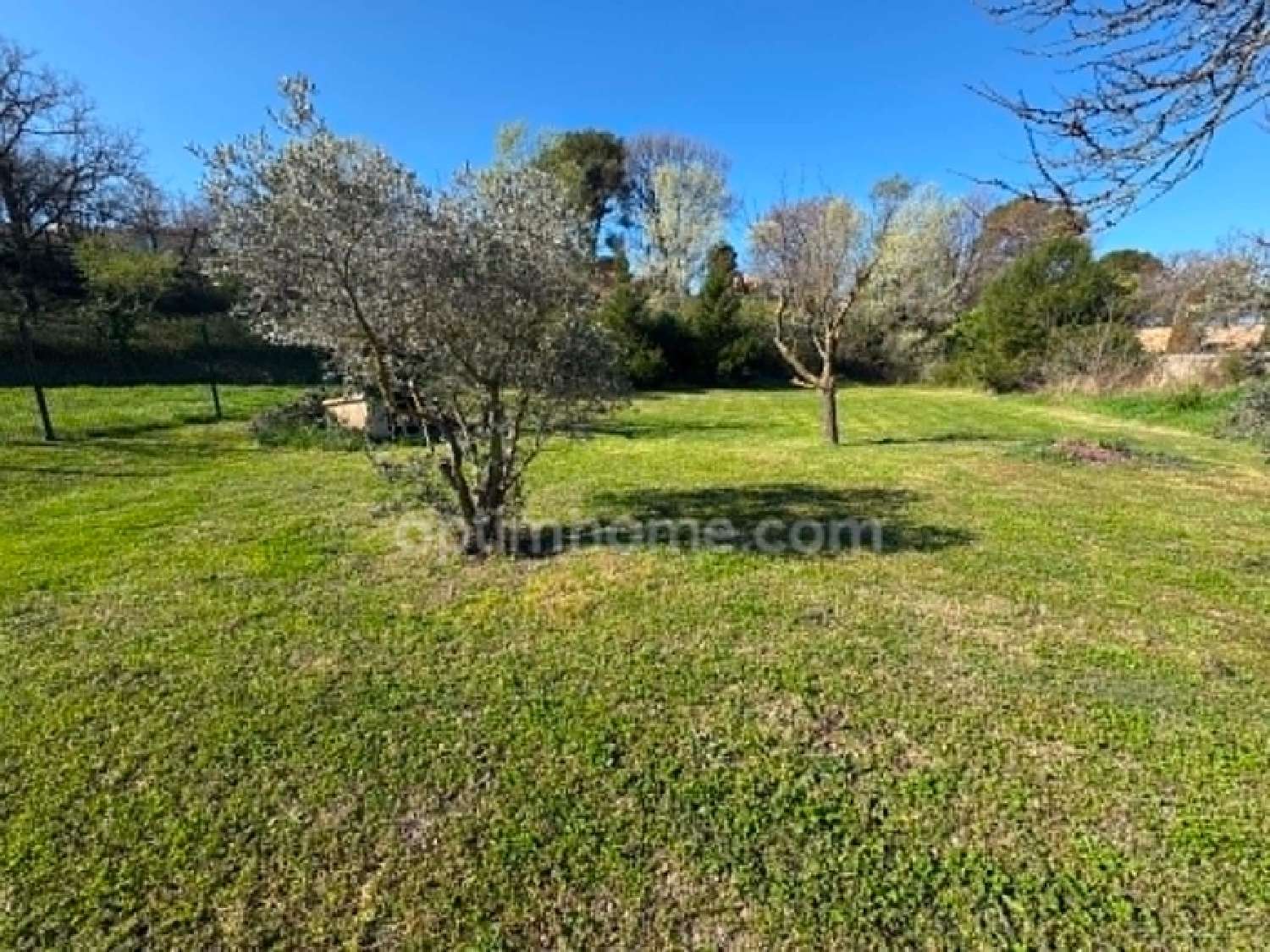  à vendre maison Saint-Rémy-de-Provence Bouches-du-Rhône 2